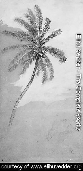 Elihu Vedder - Palm Tree
