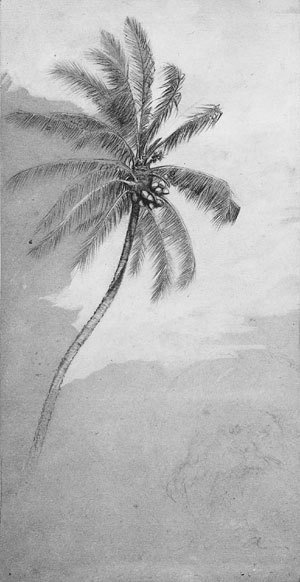 Elihu Vedder - Palm Tree