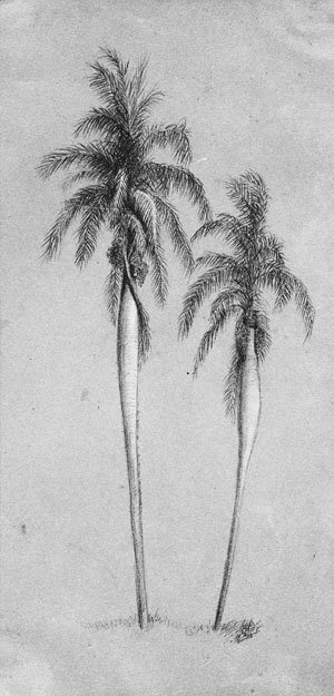 Elihu Vedder - Two Palm Trees