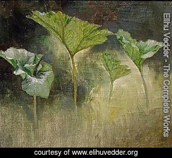 Elihu Vedder - Study of Leaves, Glen Falls, NY