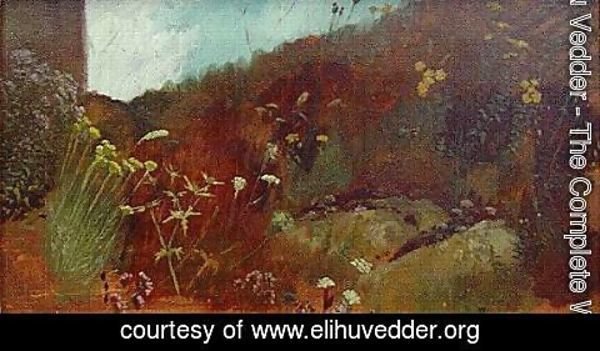 Elihu Vedder - Study of Flowers, Perugia